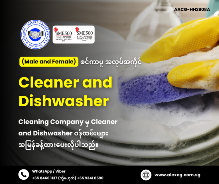 Cleaner and Dishwasher