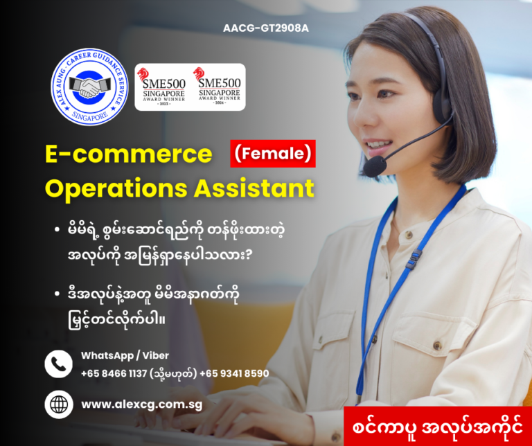 E-commerce Operations Assistant