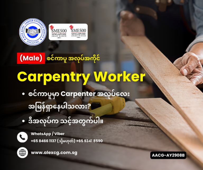 Carpentry Worker