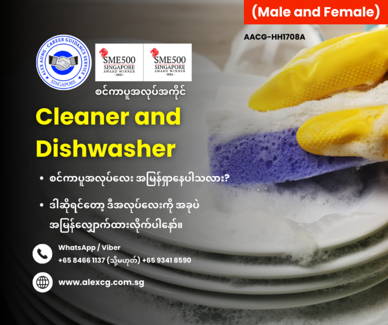 Cleaner and Dishwasher