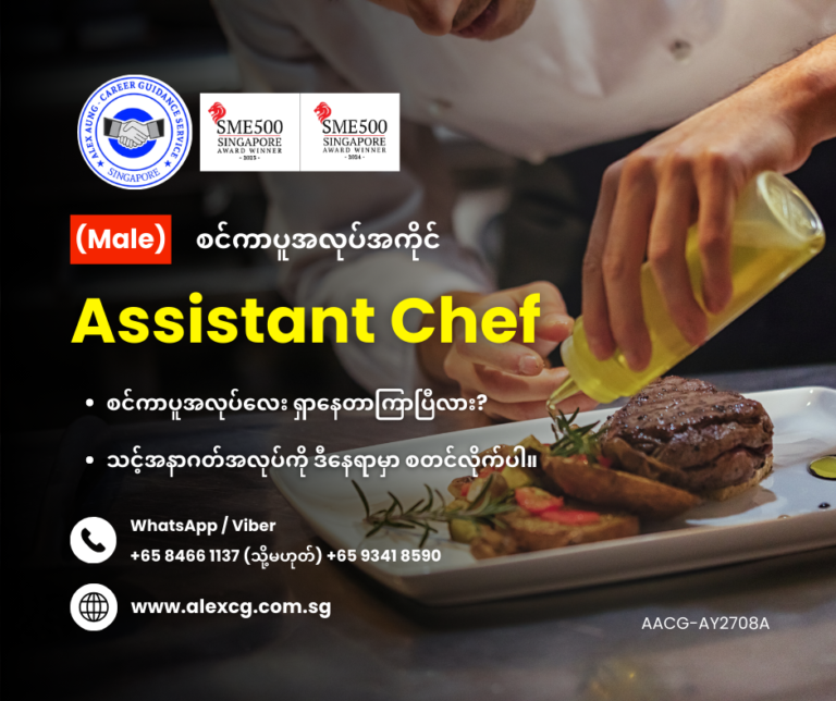 Assistant Chef