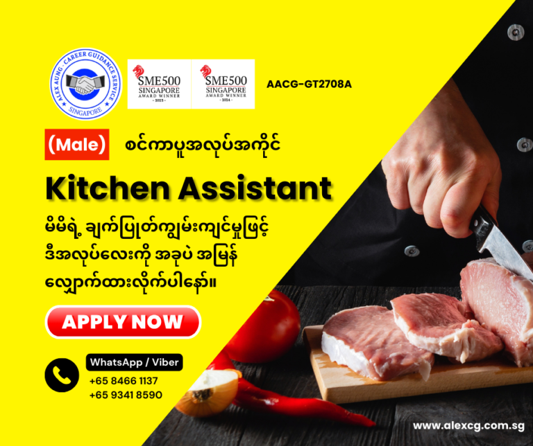 Kitchen Assistant