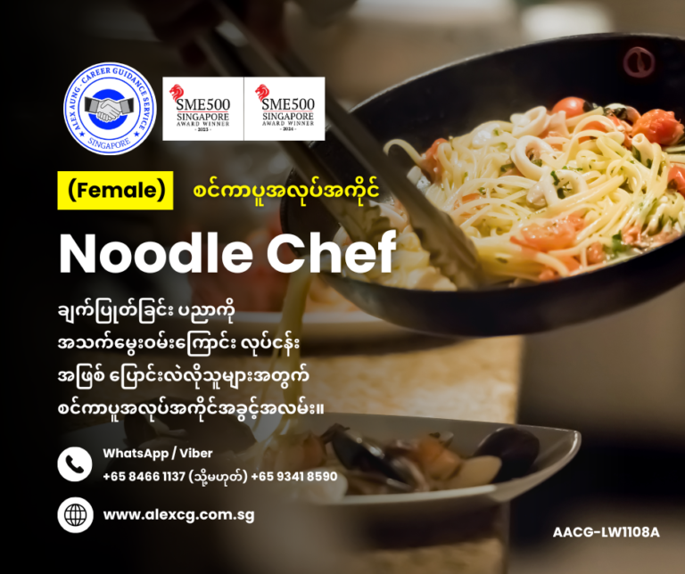 Noodle Chef