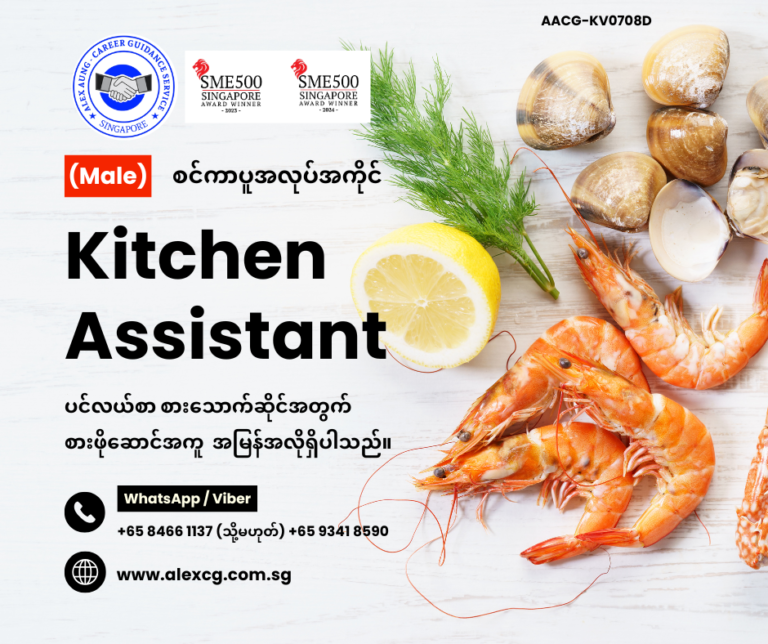 Kitchen Assistant