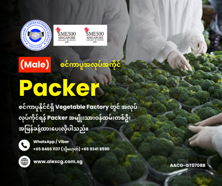 Packer