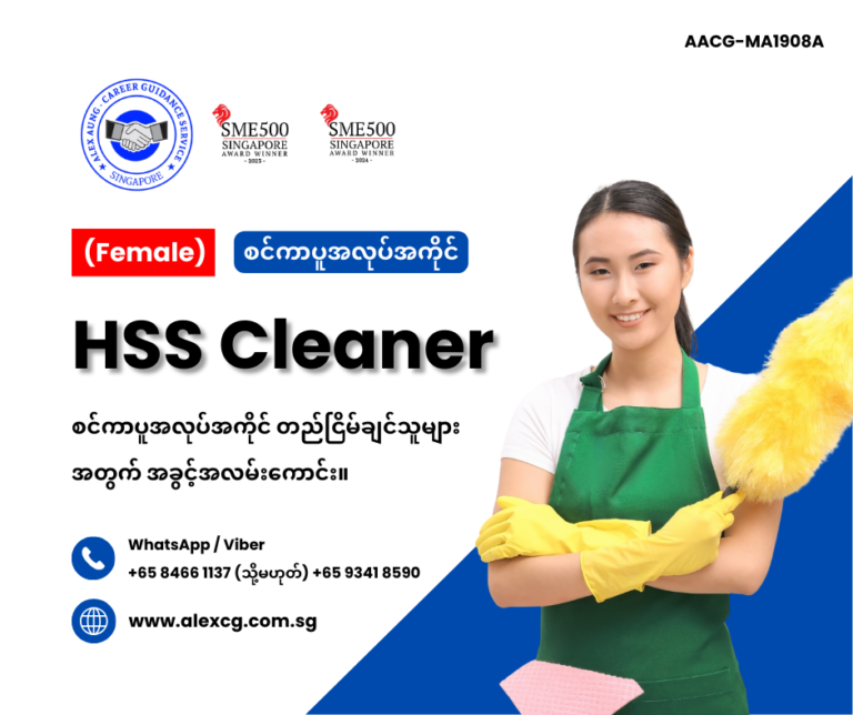 HSS Cleaner