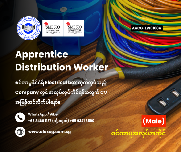 Apprentice Distribution Worker