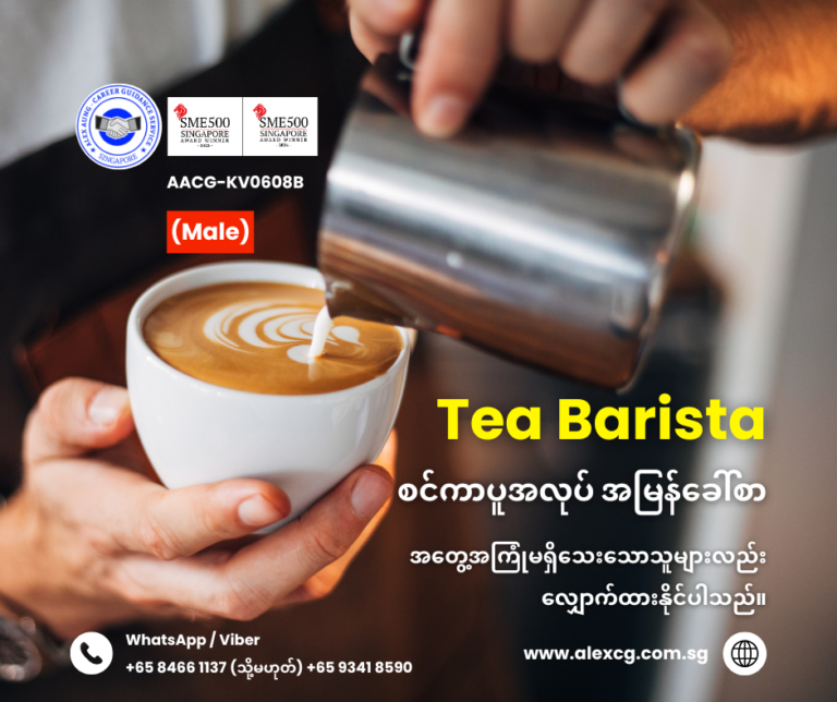 Tea Barista