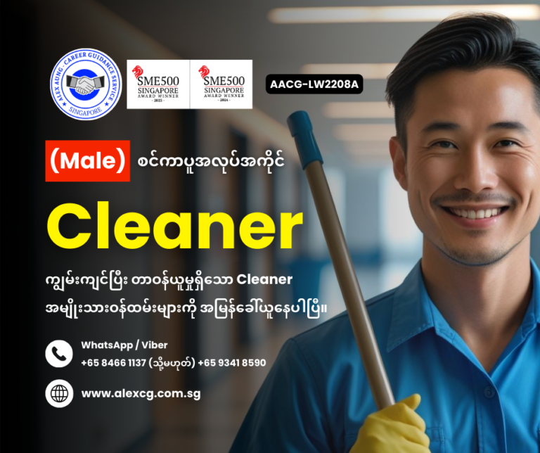 Cleaner