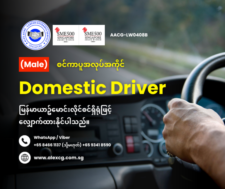 Domestic Driver