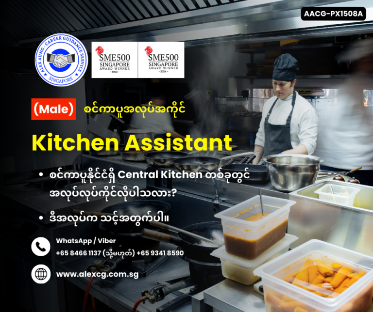Kitchen Assistant