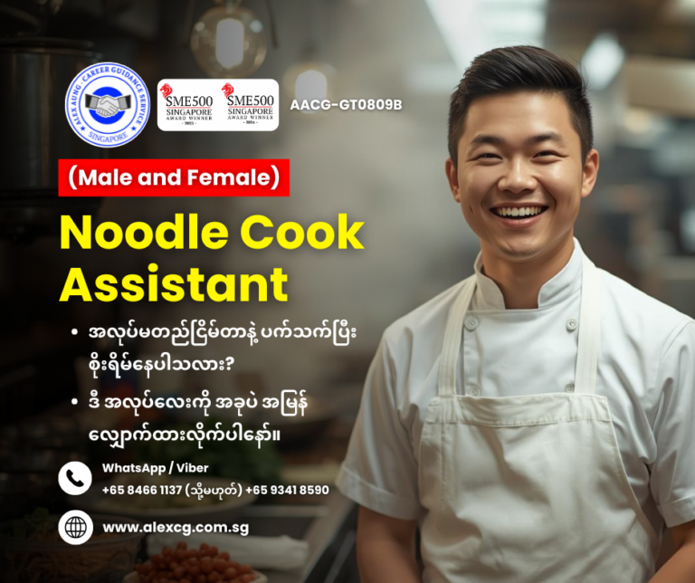 Noodle Cook Assistant