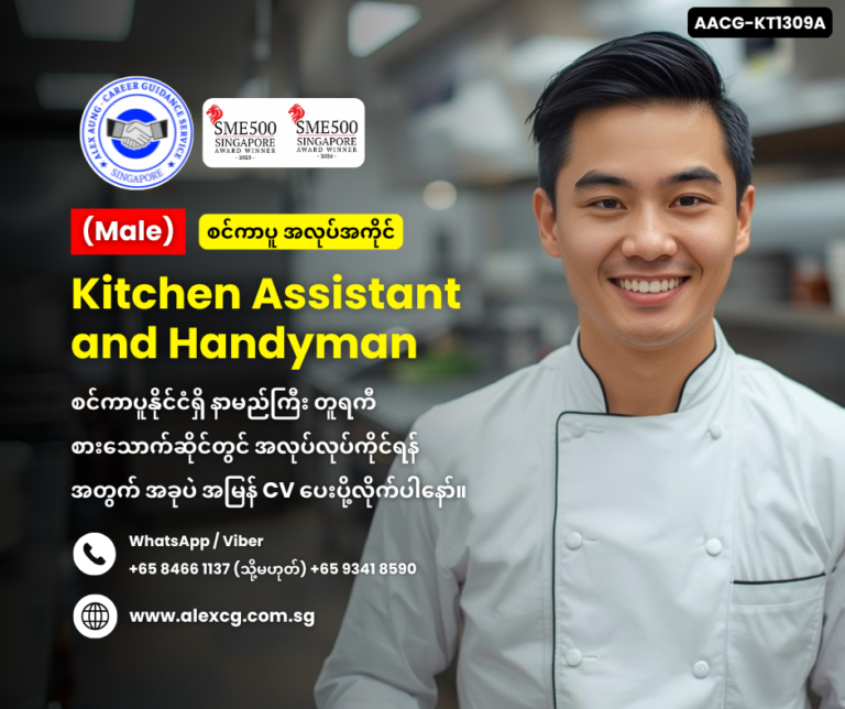 Kitchen Assistant and Handyman