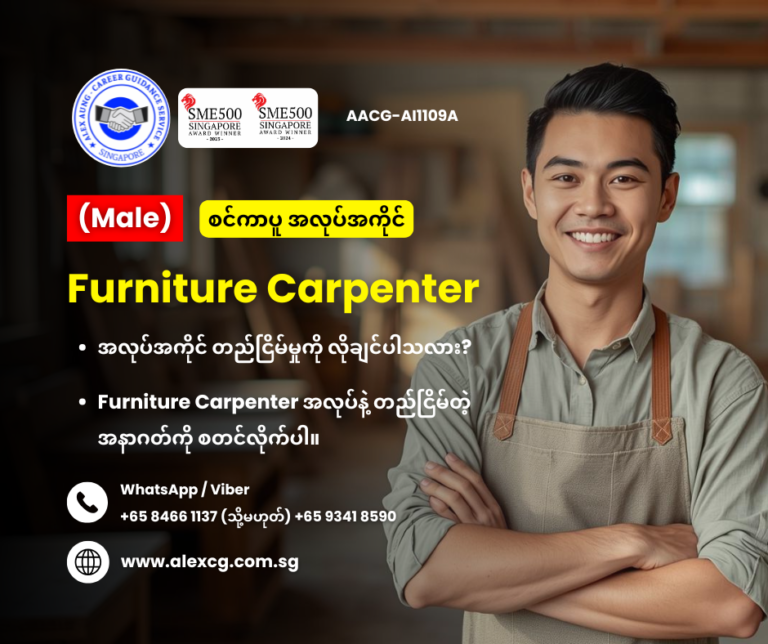 Furniture Carpenter