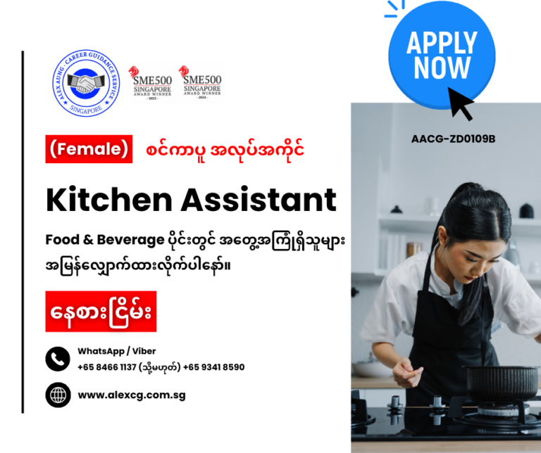 Kitchen Assistant
