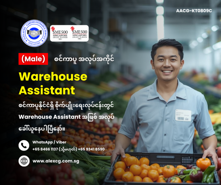 Warehouse Assistant