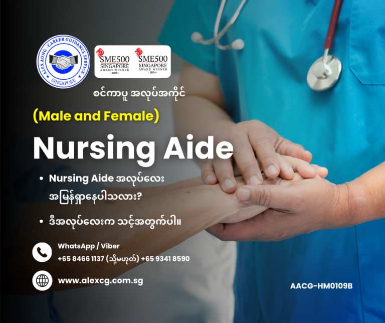 Nursing Aide