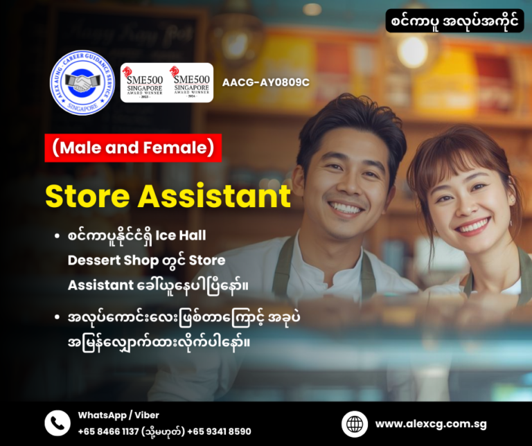 Store Assistant
