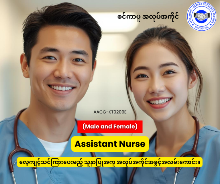 Assistant Nurse