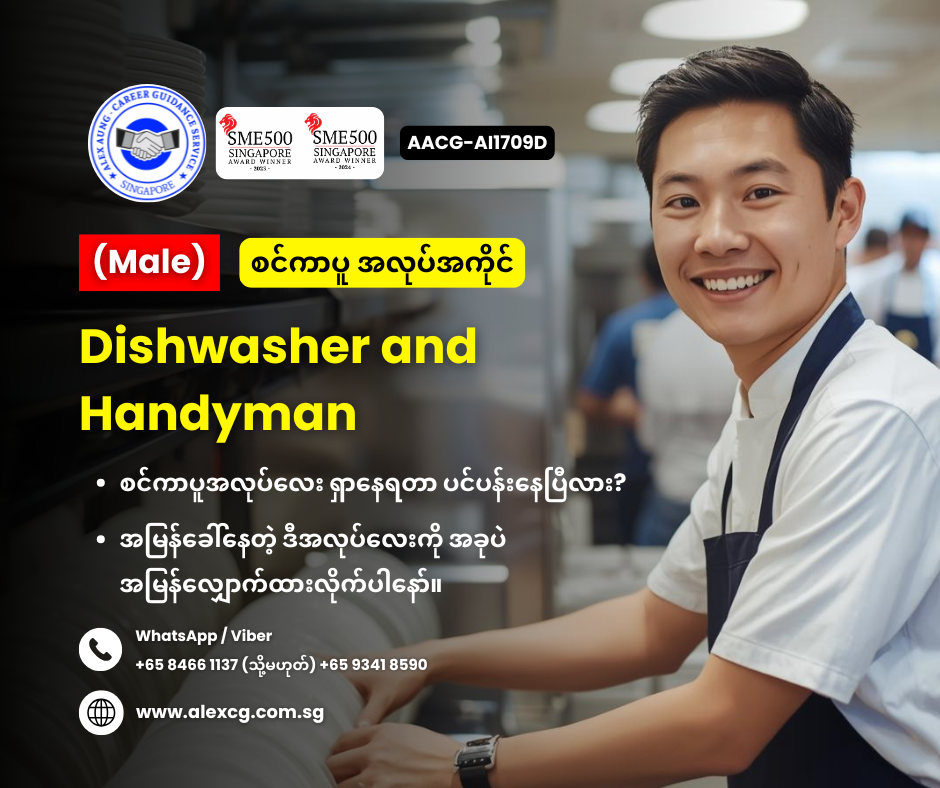 Dishwasher and Handyman