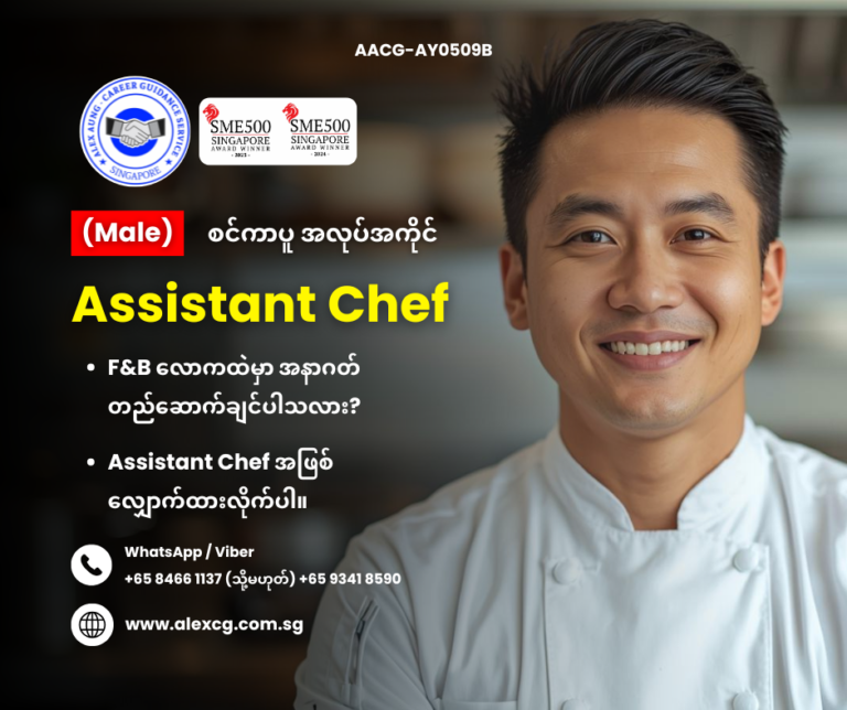 Assistant Chef