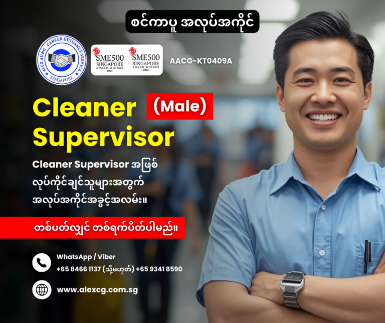 Cleaner Supervisor