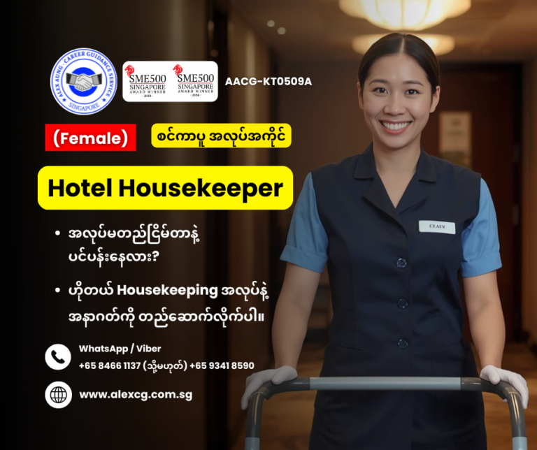 Hotel Housekeeper
