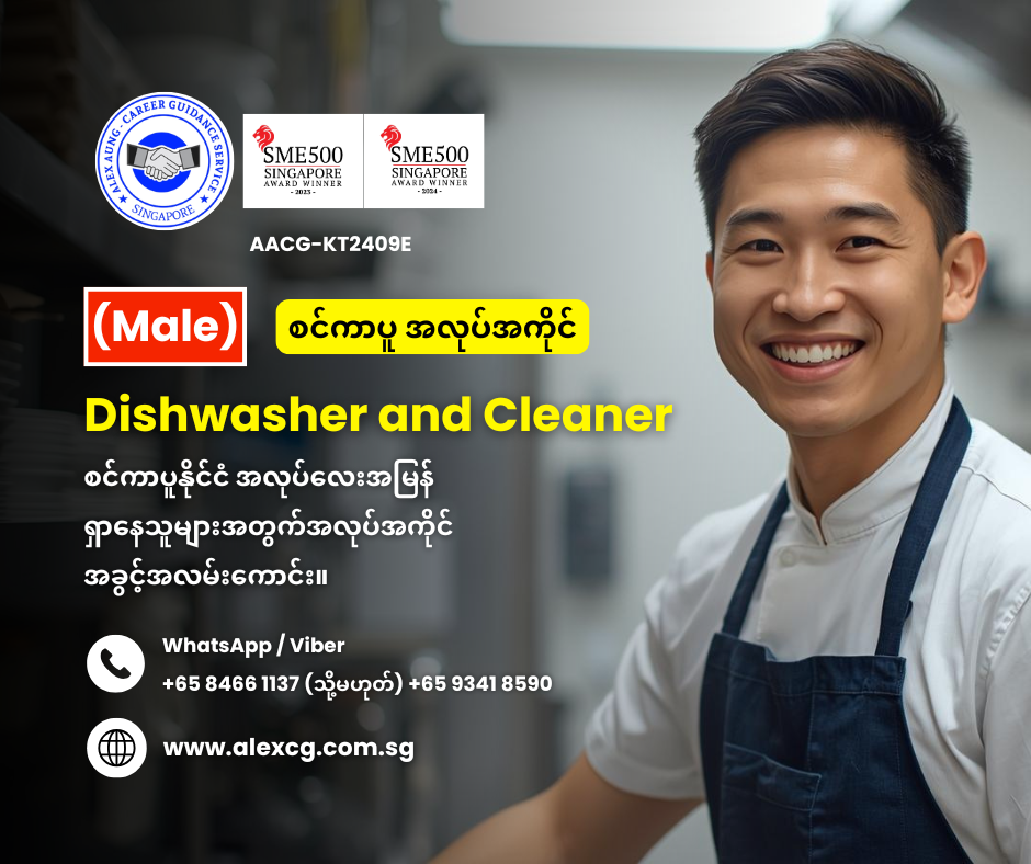 Dishwasher and Cleaner