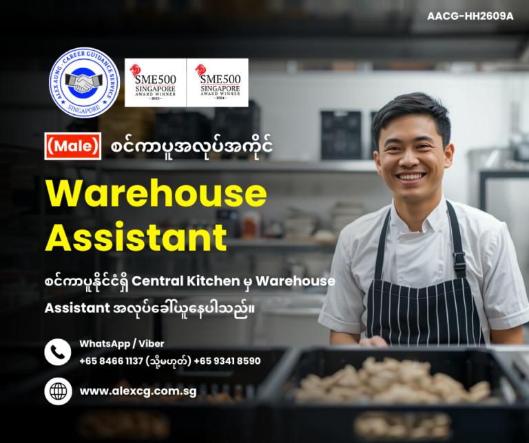 Warehouse Assistant