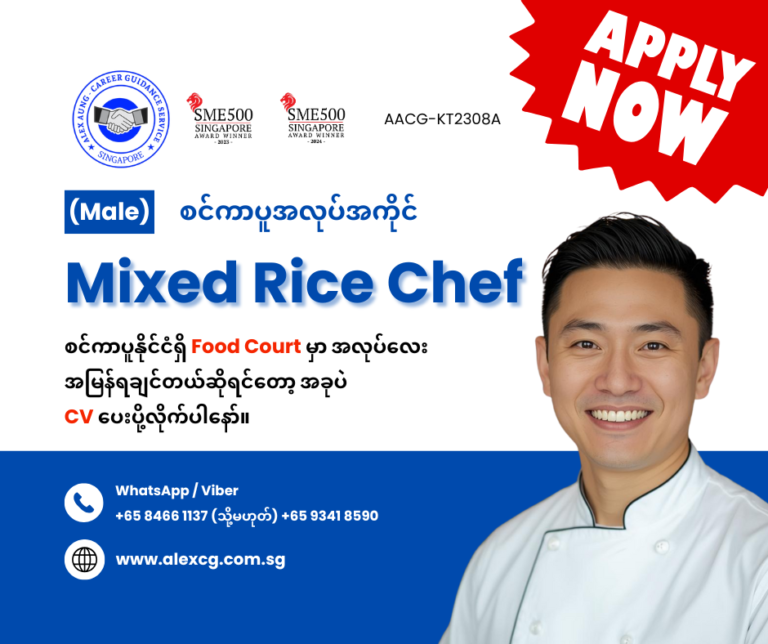 Mixed Rice Chef