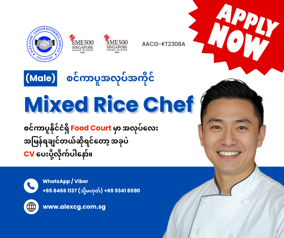 Mixed Rice Chef