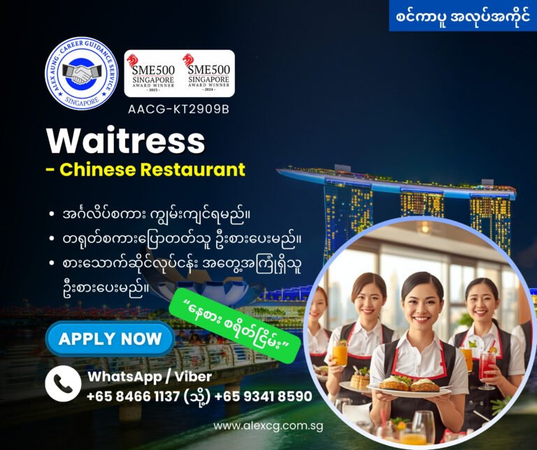 Waitress - Chinese Restaurant