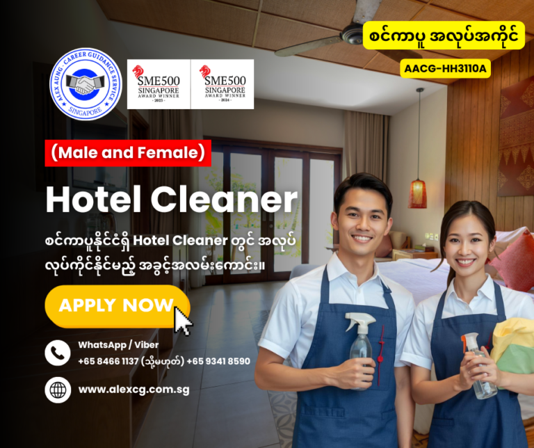 Hotel Cleaner