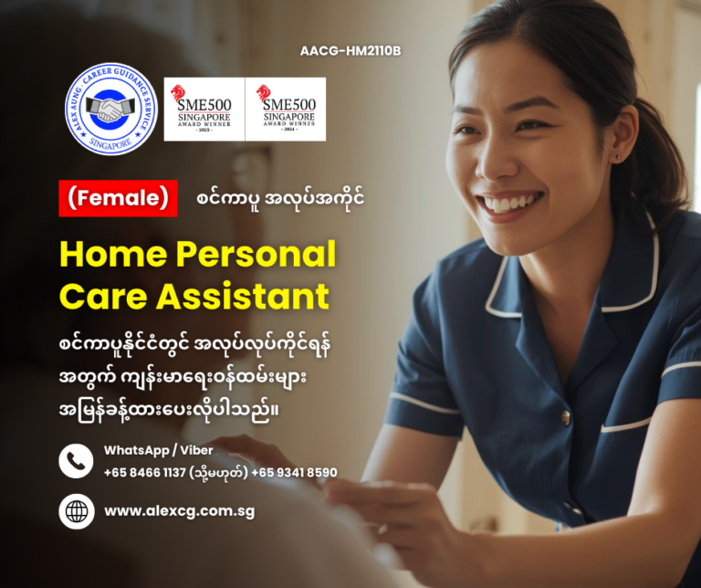Home Personal Care Assistant