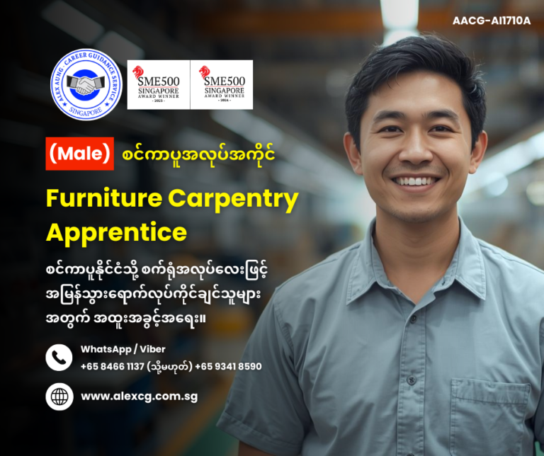 Furniture Carpentry Apprentice