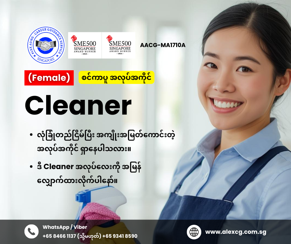 Cleaner
