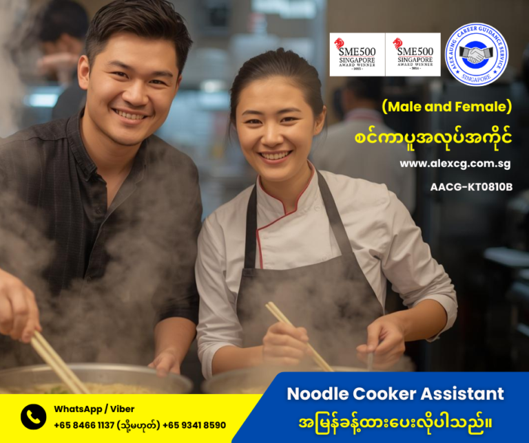 Noodle Cooker Assistant