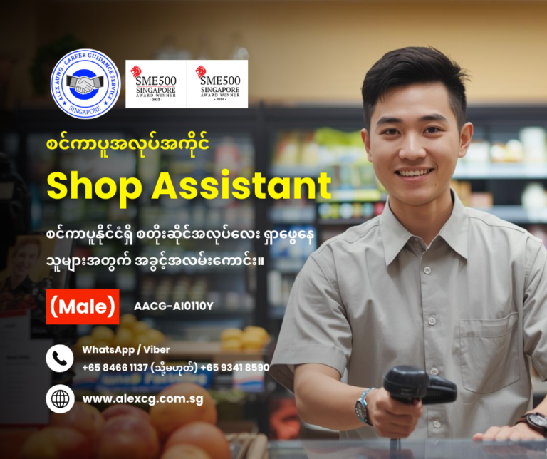 Shop Assistant