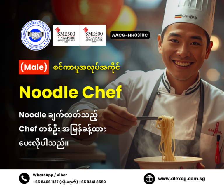 Noodle Chef