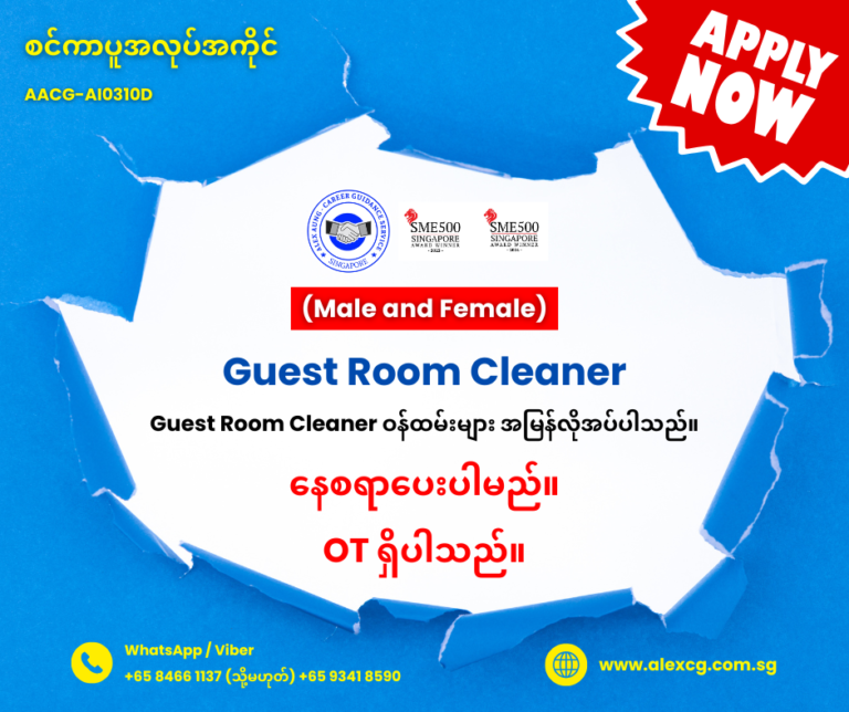 Guest Room Cleaner