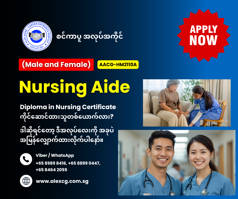 Nursing Aide