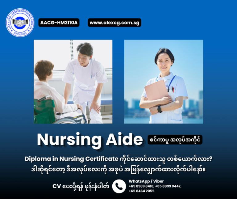 Nursing Aide