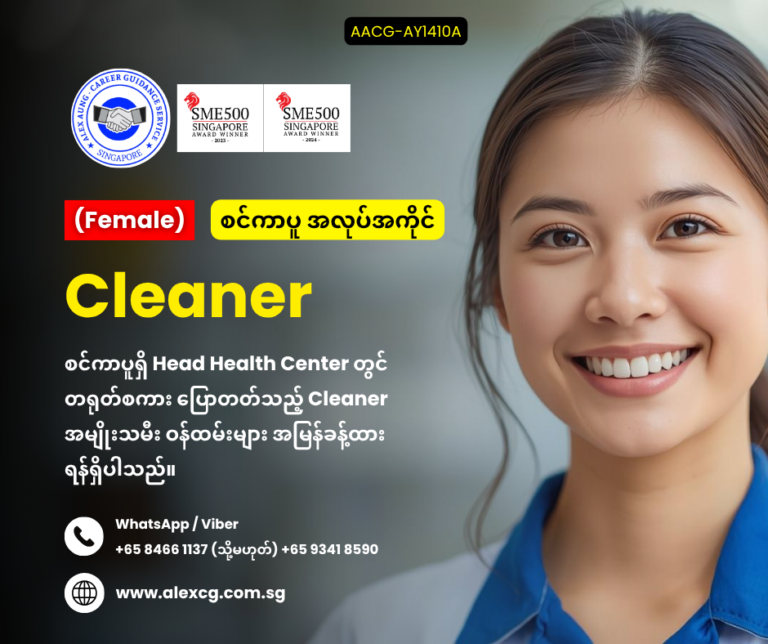 Cleaner