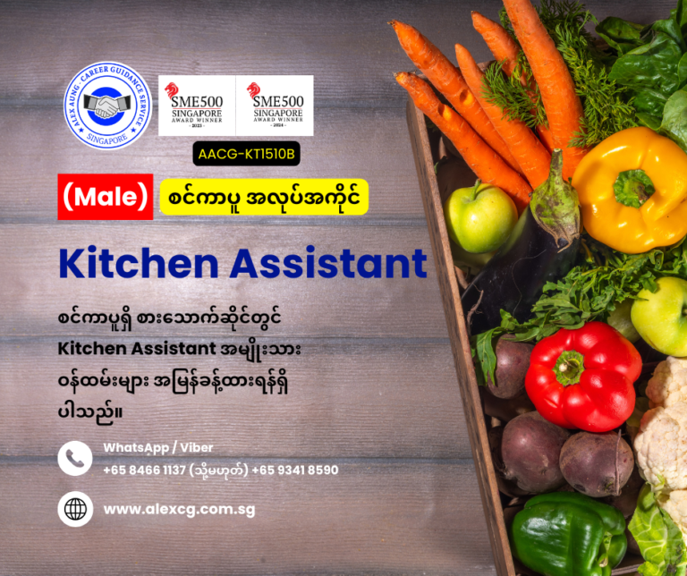 Kitchen Assistant