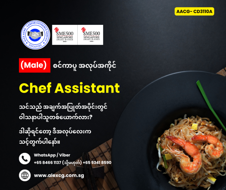 Chef Assistant