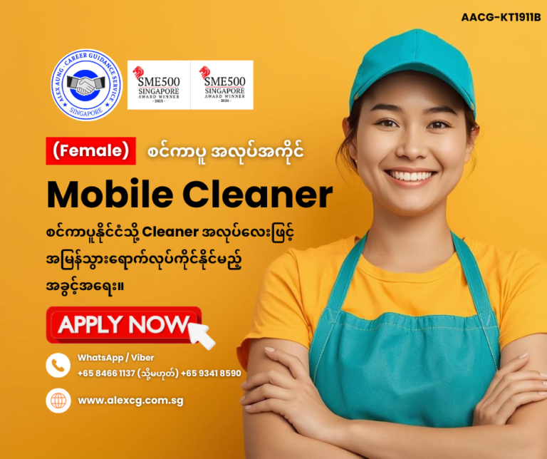 Mobile Cleaner