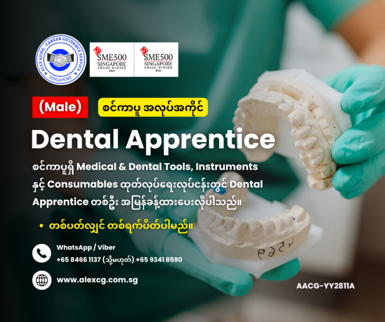 Dental Apprentice