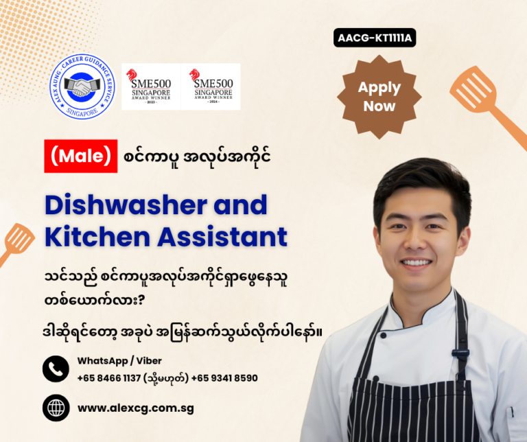 Dishwasher and kitchen assistant