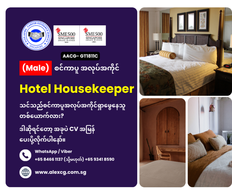 Hotel Housekeeper
