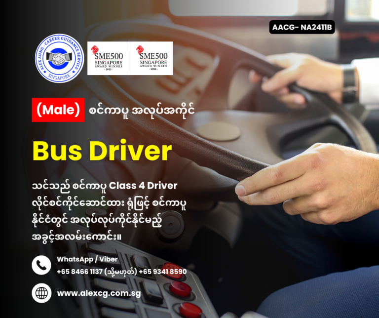 Bus Driver